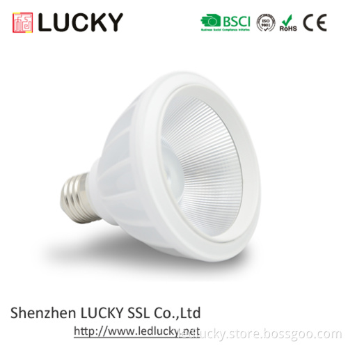 8W, CE&RoHS Approved LED PAR Light